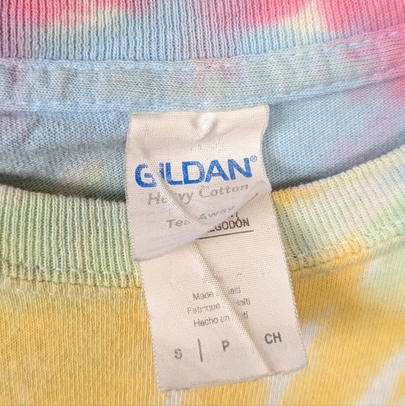 The Maine Pastel Rainbow Tie Dye Short Sleeve T-Shirt Band Tee Size Small - Picture 4 of 8